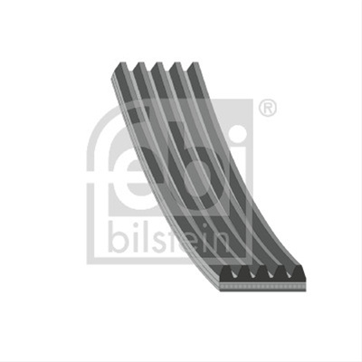 Curea Transmisie Cu Caneluri Febi Bilstein Chrysler 28856
