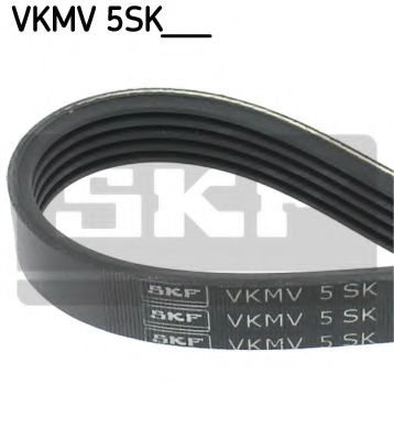 Curea transmisie cu caneluri FIAT CROMA (194) (2005 - 2016) SKF VKMV 5SK595 piesa NOUA