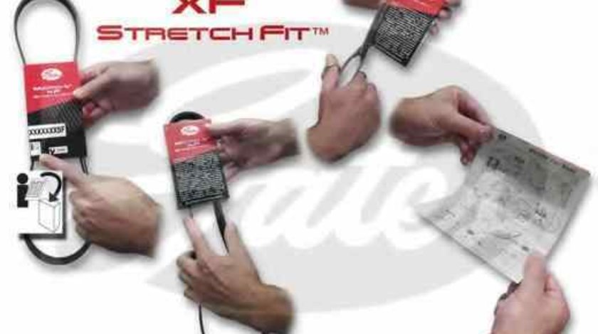 Curea transmisie cu caneluri FORD FUSION JU GATES 6PK1019SF