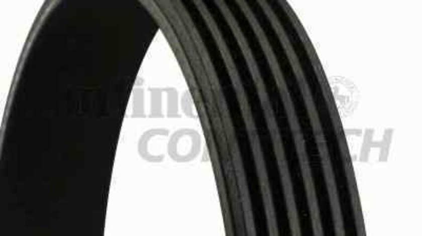 Curea transmisie cu caneluri ISUZU TROOPER CONTITECH 6PK2040