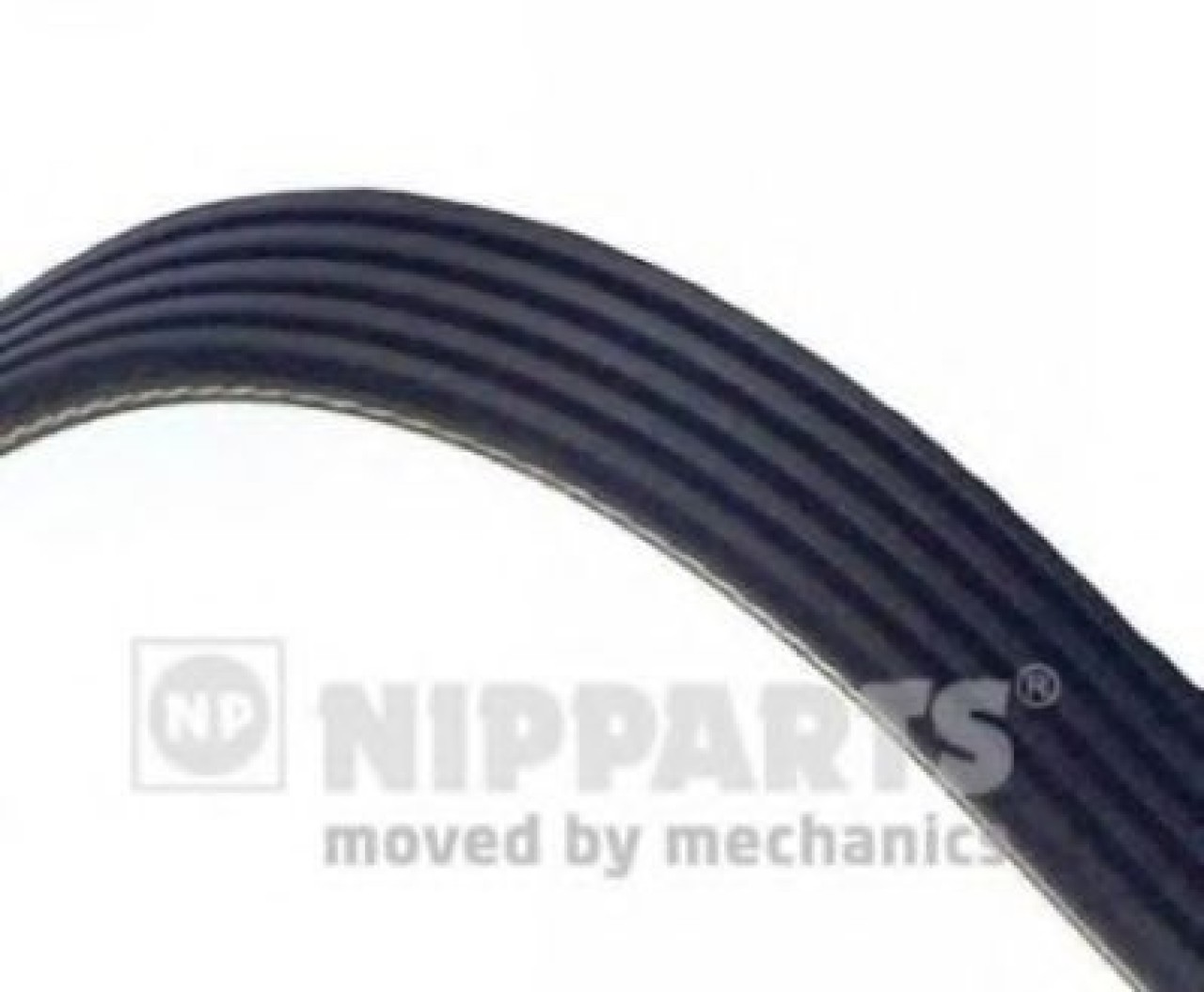 Curea transmisie cu caneluri KIA CEED SW (ED) (2007 - 2012) NIPPARTS J1051015 piesa NOUA