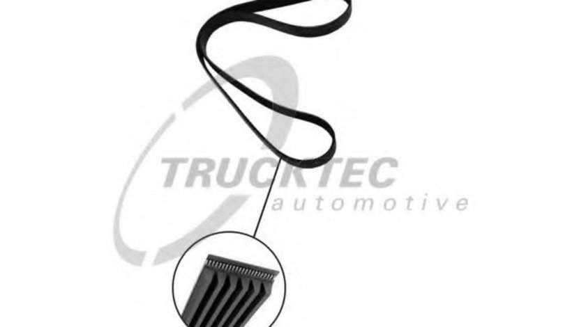 Curea transmisie cu caneluri MERCEDES S-CLASS (W220) (1998 - 2005) TRUCKTEC AUTOMOTIVE 07.19.107 piesa NOUA