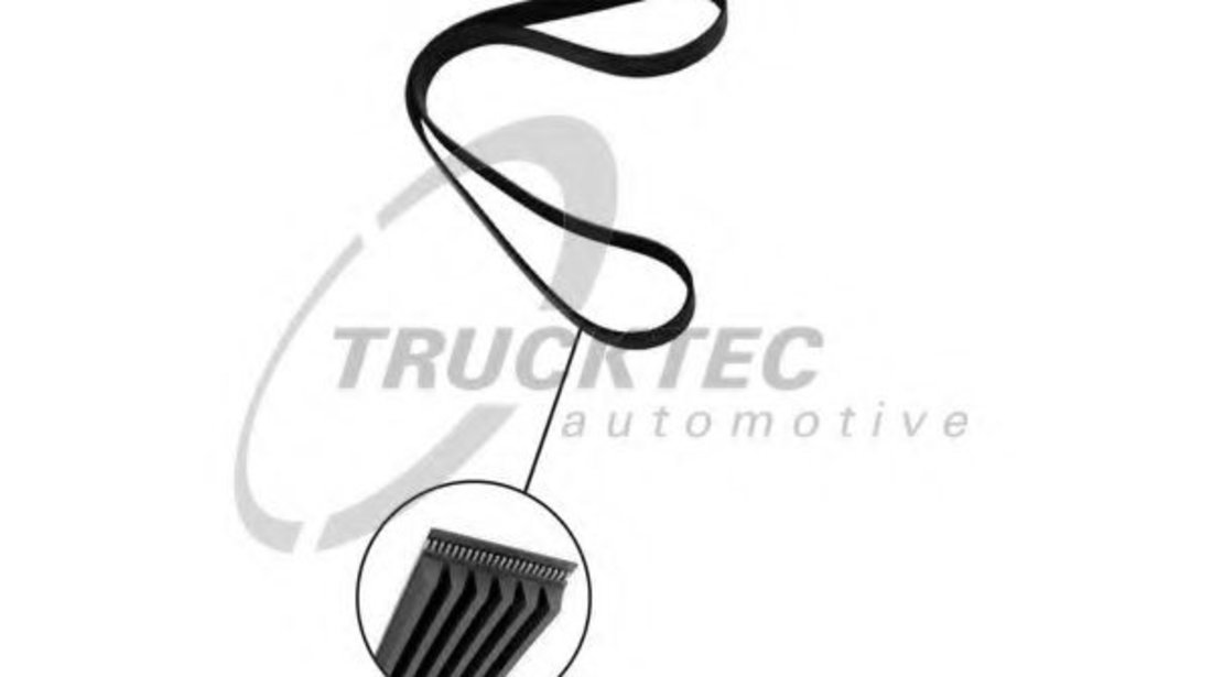 Curea transmisie cu caneluri NISSAN PRIMERA (P11) (1996 - 2001) TRUCKTEC AUTOMOTIVE 07.19.057 piesa NOUA