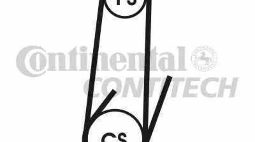 Curea transmisie cu caneluri PEUGEOT BOXER bus CONTITECH 4PK1102 ELAST