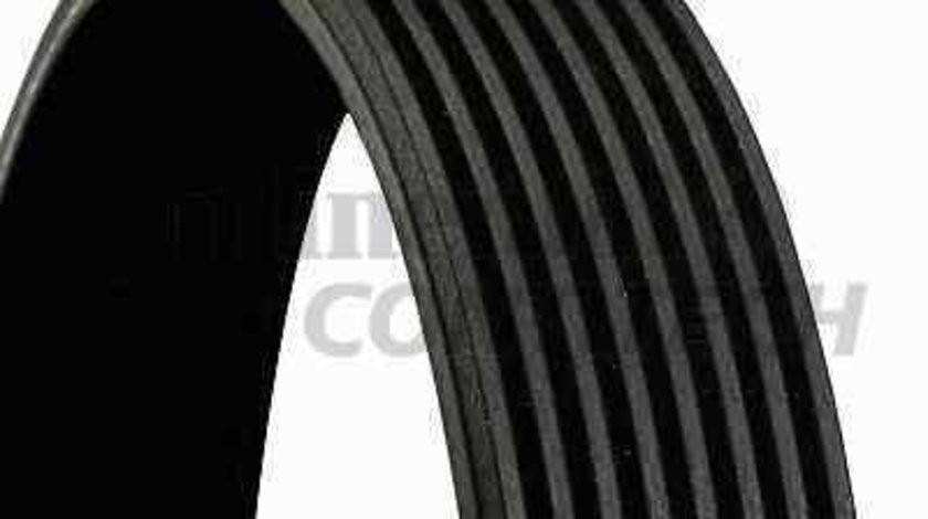 Curea transmisie cu caneluri Producator CONTITECH 8PK1600