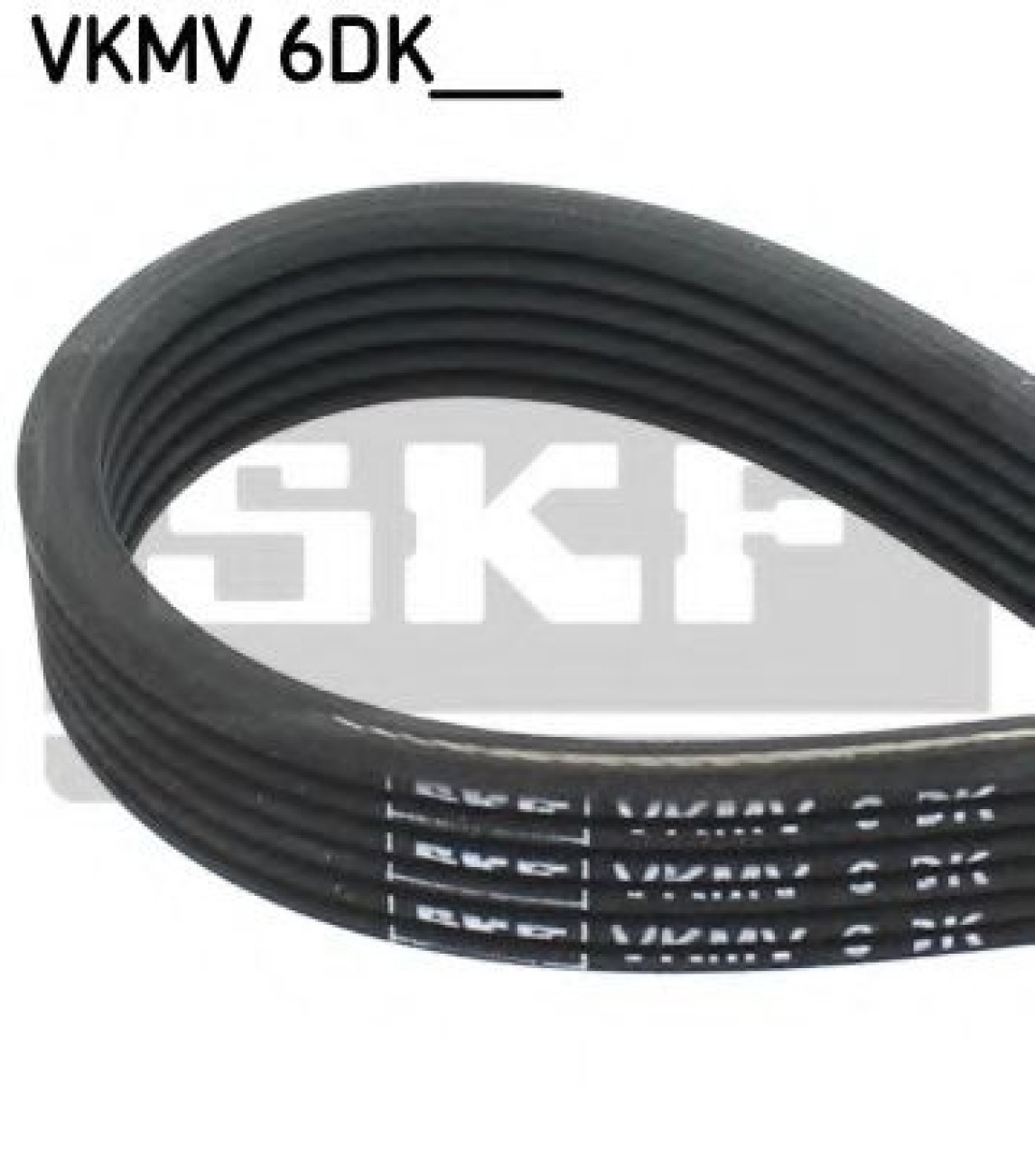 Curea transmisie cu caneluri SEAT LEON (1M1) (1999 - 2006) SKF VKMV 6DK1195 piesa NOUA