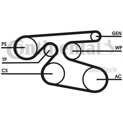 Curea transmisie cu caneluri TOYOTA AVENSIS (T25) (2003 - 2008) CONTITECH 7PK2000 piesa NOUA