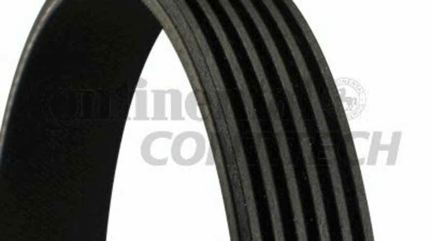 Curea transmisie cu caneluri TOYOTA COROLLA Verso - OEM: SR 6PK1875 - Cod intern: W02598774