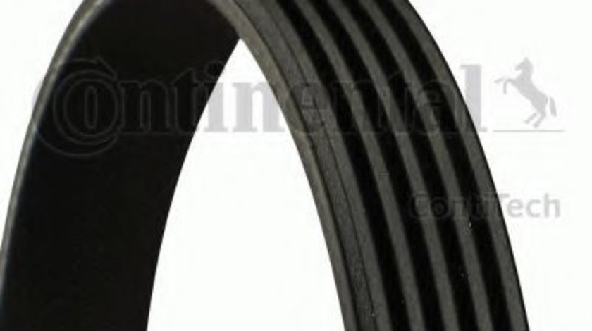 Curea transmisie cu caneluri VW GOLF VI Variant (AJ5) (2009 - 2013) CONTITECH 5PK491 produs NOU