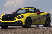 Cursuri de pilotaj Fiat