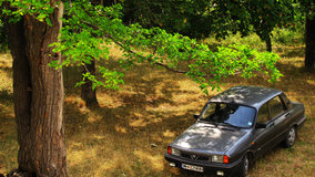 Dacia 1310