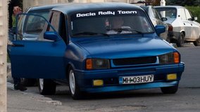 Dacia 1310