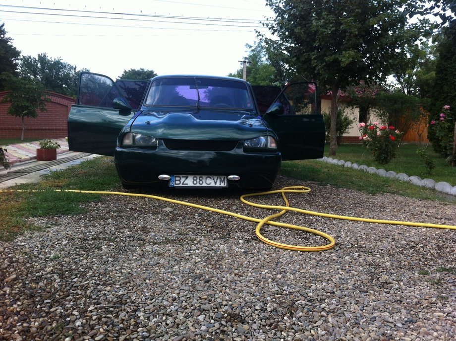 Dacia 1310 broscoiu'
