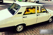 Dacia 1310 de vanzare pe net