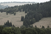 Dacia Duster Camp 2012