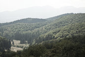 Dacia Duster Camp 2012
