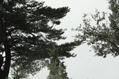 Dacia Duster Camp 2012
