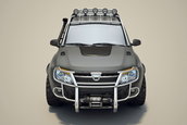 Dacia Duster de teren