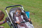 Dacia Picnic 2016