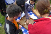 Dacia Picnic 2016