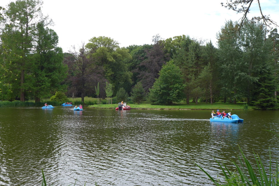 Dacia Picnic 2016