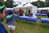 Dacia Picnic 2016
