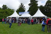 Dacia Picnic 2016