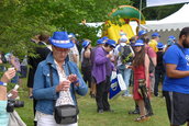 Dacia Picnic 2016