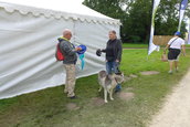 Dacia Picnic 2016