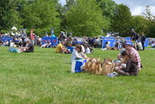 Dacia Picnic 2016