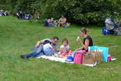 Dacia Picnic 2016