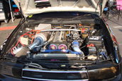 Dan57