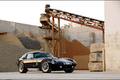 Daytona Cobra Reloaded