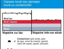 De cate ori iti poti polisha masina?