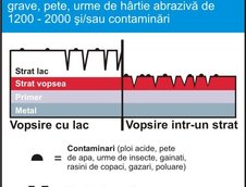 De cate ori iti poti polisha masina?