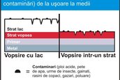 De cate ori iti poti polisha masina?