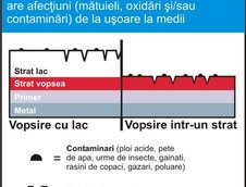 De cate ori iti poti polisha masina?