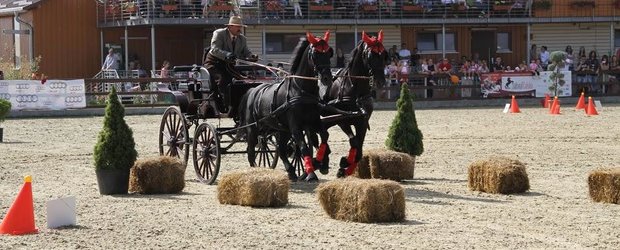 De la cal, la cal putere - eveniment spectaculos in acest week-end la Tancabesti