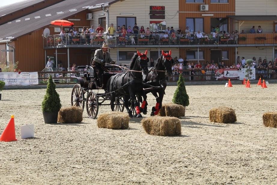 De la cal, la cal putere - eveniment spectaculos in acest week-end la Tancabesti