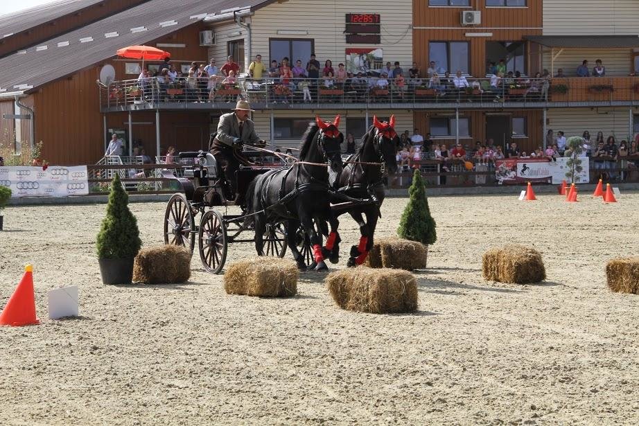 De la cal, la cal putere - eveniment spectaculos in acest week-end la Tancabesti De la cal, la cal putere - eveniment spectaculos in acest week-end la Tancabesti