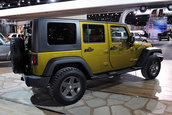 Detroit Auto Show 2010