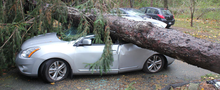 Dezastru in SUA: Uraganul Sandy a distrus circa 640.000 de masini
