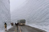 Dezbaterea iernii: ce anvelope sunt mai bune pe zapada, inguste sau late?