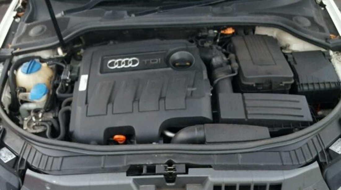 Dezmembrez Audi A3 2010 1.6tdi CAY