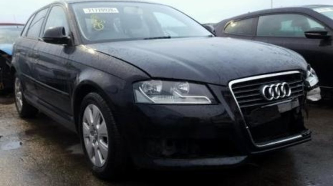 DEZMEMBREZ AUDI A3 8P, 1.6B