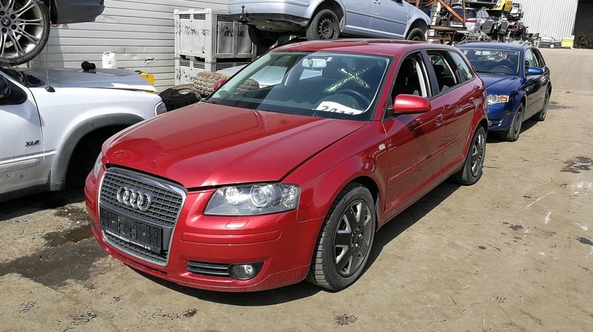 DEZMEMBREZ Audi A3 8P 2.0tdi tip motor BMM tip cutie JLU