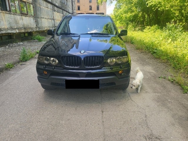 Dezmembrez BMW E53 X5 3.0i M54