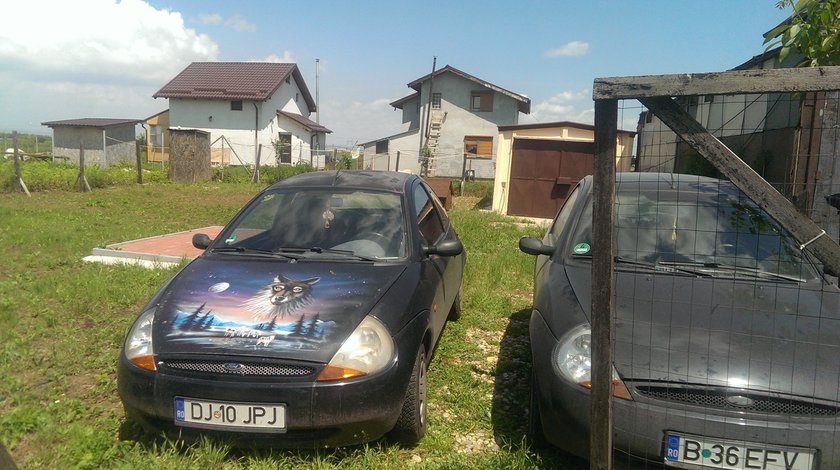 DEZMEMBREZ FORD KA din 2001