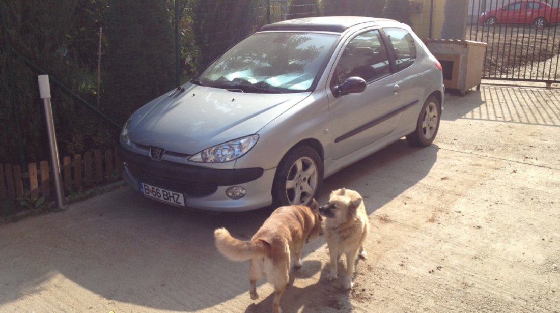 Dezmembrez Peugeot 206 S16 GTI