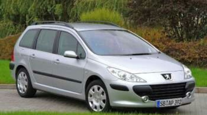 Dezmembrez Peugeot 307 din 2004